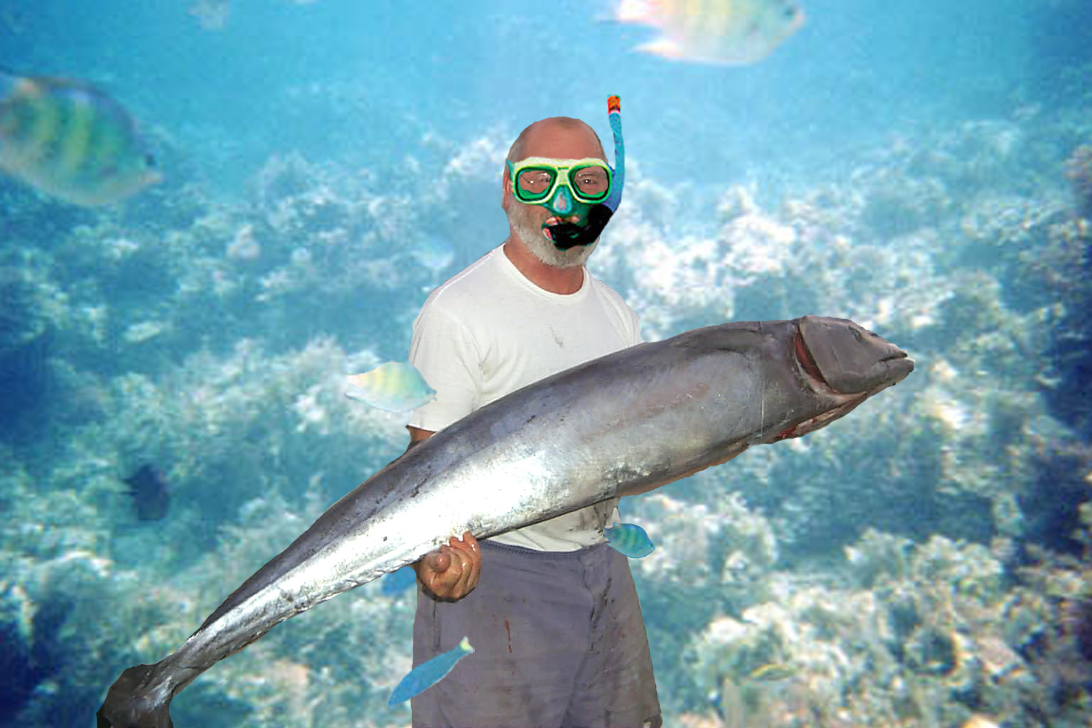 Photoshop Design by tsahi for DesignCrowd (Community Contests) | Design #9148745