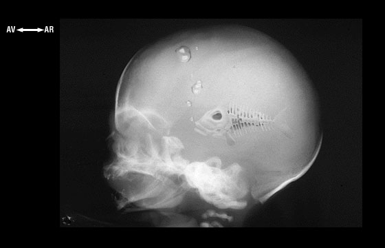 Design Photoshop par FroggyFrenchMan pour DesignCrowd (Community Contests) | Design #9153025