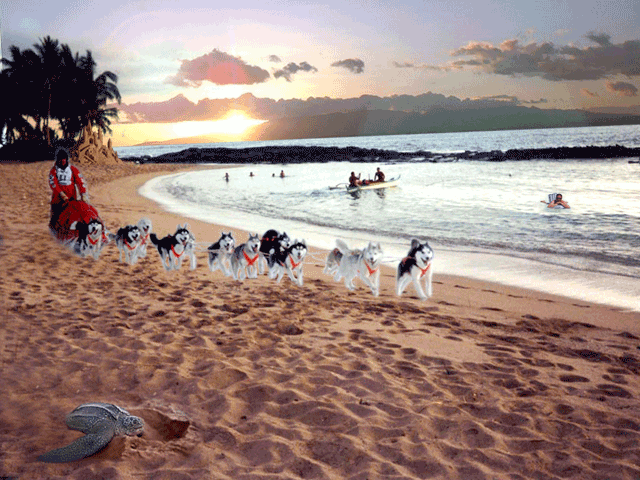 Photoshop Design by notchedlx for DesignCrowd (Community Contests) | Design #9147823