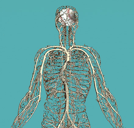 Photoshop-Design von Binder für DesignCrowd (Community Contests) | Design #9153067