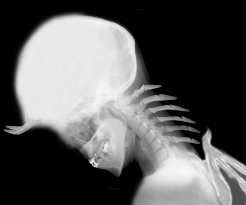 Photoshop Design by Zazriel for DesignCrowd (Community Contests) | Design #9153128