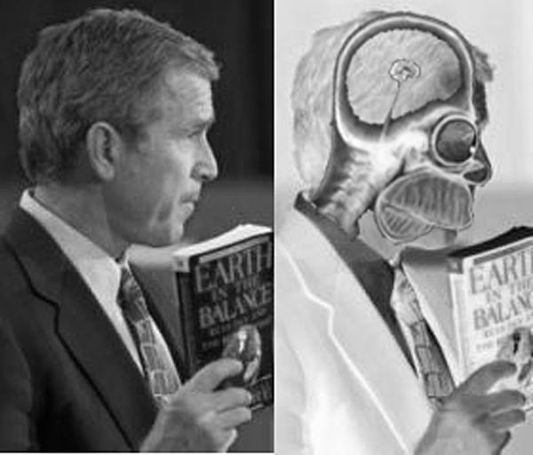 Photoshop-Design von Tincupid für DesignCrowd (Community Contests) | Design #9153099