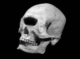 Photoshop-Design von Erik666 für DesignCrowd (Community Contests) | Design #9153123