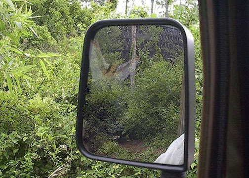 Photoshop-Design von quack_head für DesignCrowd (Community Contests) | Design #9139017