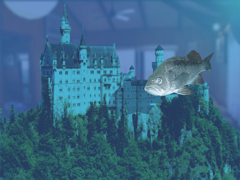 Photoshop-Design von manhead für DesignCrowd (Community Contests) | Design #9139074