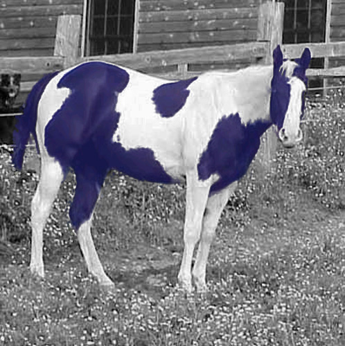 Photoshop-Design von CLOSER für DesignCrowd (Community Contests) | Design #9146996