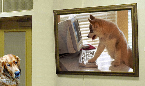 Photoshop-Design von Zeeshan für DesignCrowd (Community Contests) | Design #9138369