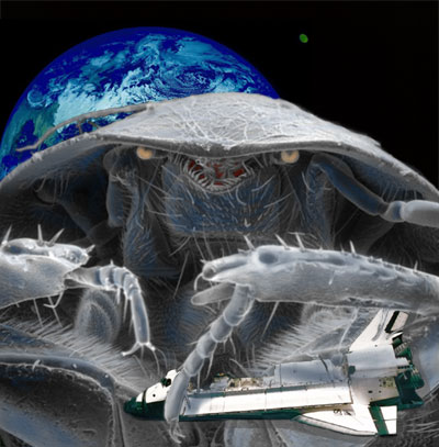 Photoshop-Design von seeker für DesignCrowd (Community Contests) | Design #9154590