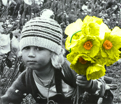 Photoshop Design by Trashman for DesignCrowd (Community Contests) | Design #9147040