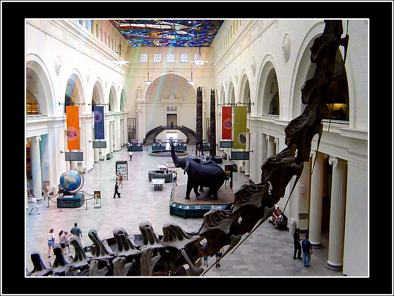 Photoshop-Design von Gonzo für DesignCrowd (Community Contests) | Design #9137426