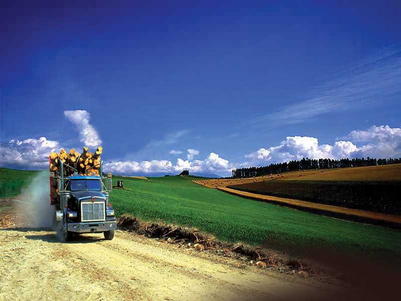 Diseño de Photoshop por Duke para DesignCrowd (Community Contests) | Diseño #9152864