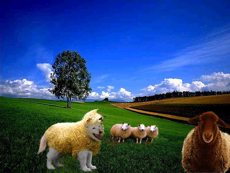 Photoshop-Design von CLOSER für DesignCrowd (Community Contests) | Design #9152836