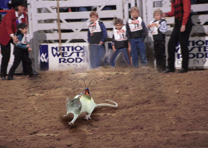 Photoshop-Design von quack_head für DesignCrowd (Community Contests) | Design #9155045