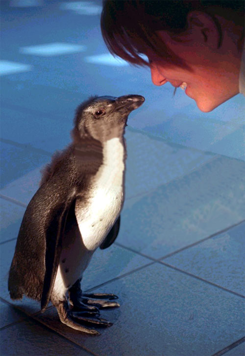 Design Photoshop par Sh3kel pour DesignCrowd (Community Contests) | Design #9156068