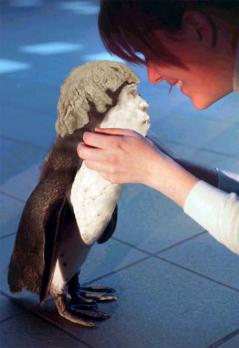 Photoshop-Design von jo_xxx für DesignCrowd (Community Contests) | Design #9156075