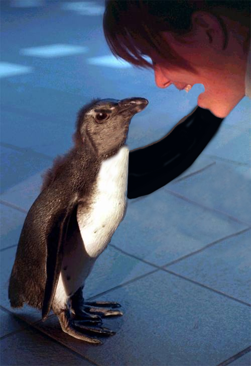 Photoshop Design by stylin for DesignCrowd (Community Contests) | Design #9156079