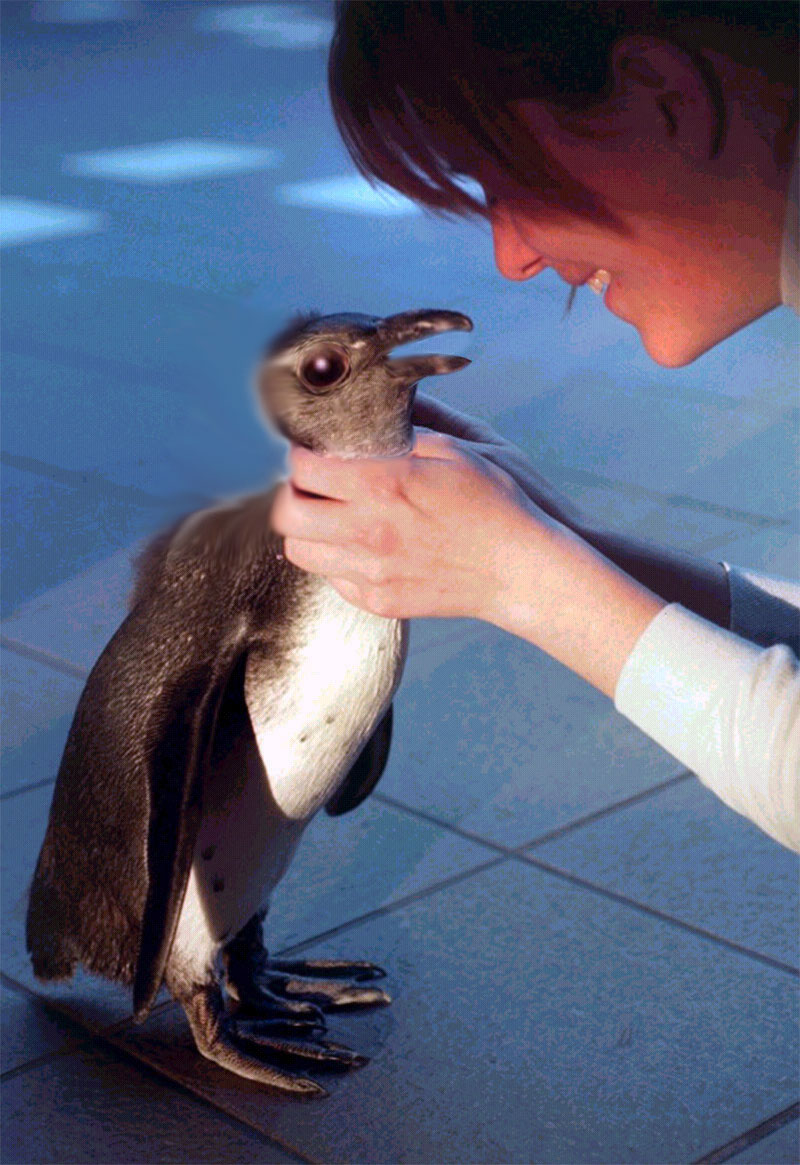 Photoshop-Design von quack_head für DesignCrowd (Community Contests) | Design #9156099