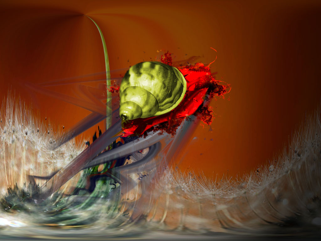 Photoshop Design by Hawk2e for DesignCrowd (Community Contests) | Design #9155745