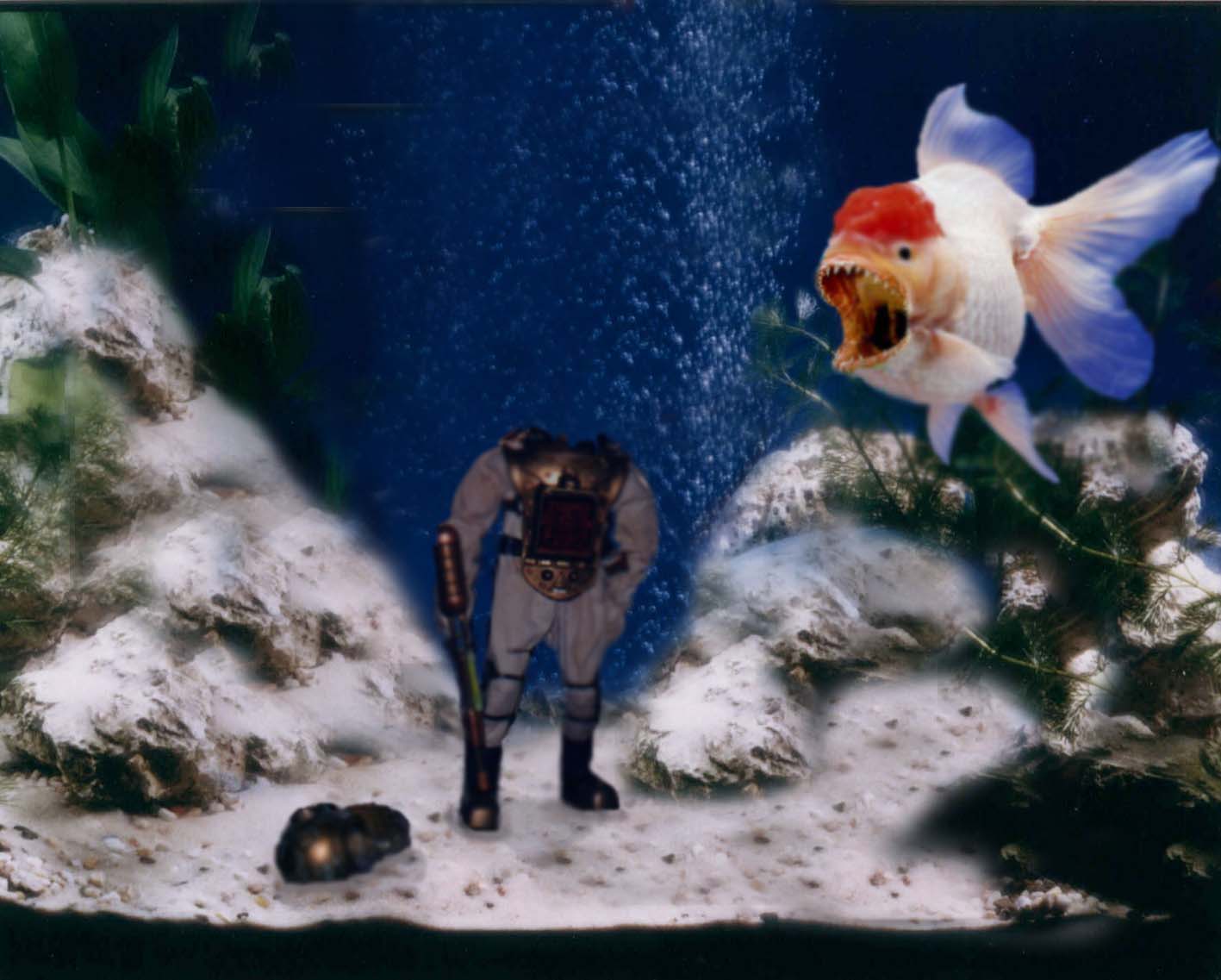 Photoshop Design by Swamptromp for DesignCrowd (Community Contests) | Design #9155763