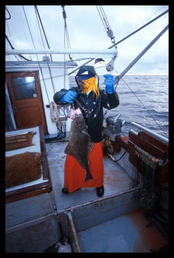 Photoshop Design by Sadistic3vil for DesignCrowd (Community Contests) | Design #9137275