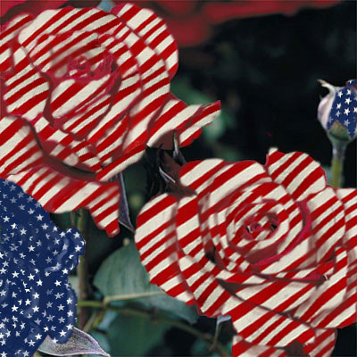 Photoshop-Design von seeker für DesignCrowd (Community Contests) | Design #9148584