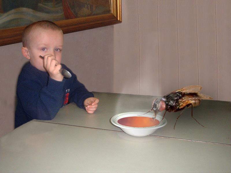 Photoshop-Design von Philbert für DesignCrowd (Community Contests) | Design #9155837