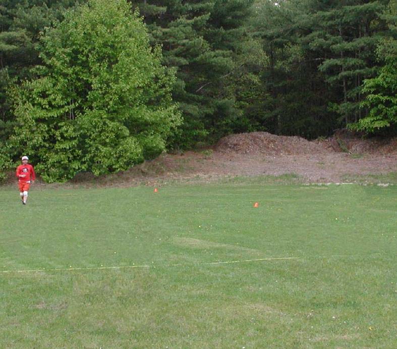 Diseño de Photoshop por RazzU2 para DesignCrowd (Community Contests) | Diseño #9151621