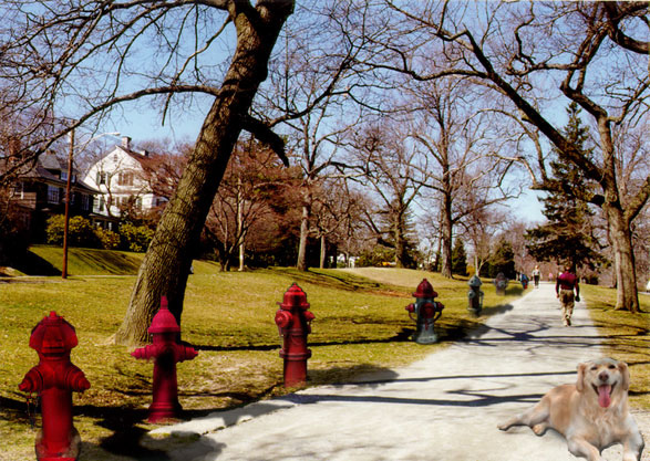 Photoshop Design by Kulstad for DesignCrowd (Community Contests) | Design #9155592