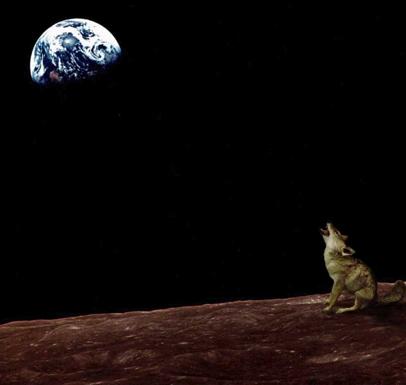 Photoshop Design by Dveil for DesignCrowd (Community Contests) | Design #9155594