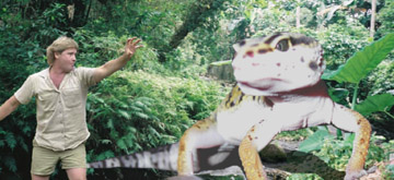 Photoshop Design by thedoorman for DesignCrowd (Community Contests) | Design #9155653