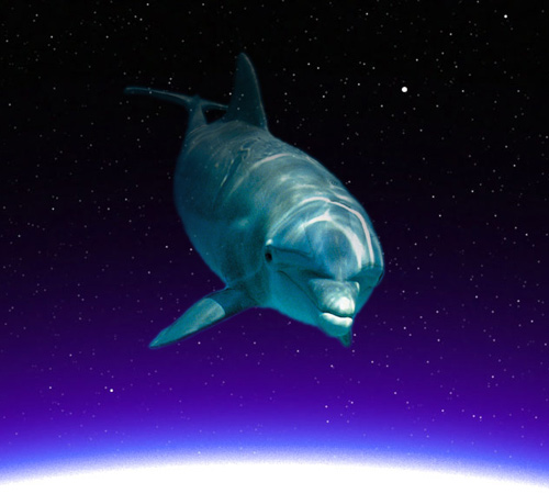 Photoshop Design by nautiq for DesignCrowd (Community Contests) | Design #9155611