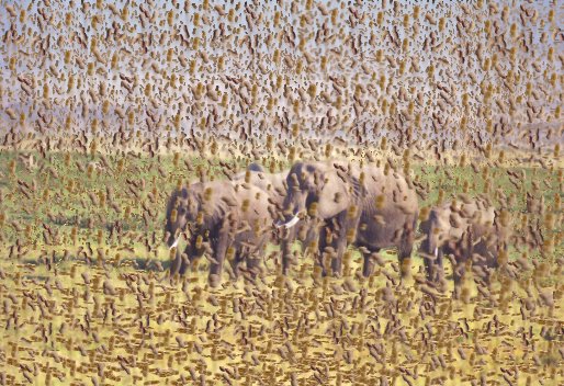 Photoshop-Design von Lockspro für DesignCrowd (Community Contests) | Design #9155627