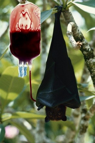 Photoshop Design by Bigpeeler for DesignCrowd (Community Contests) | Design #9155601