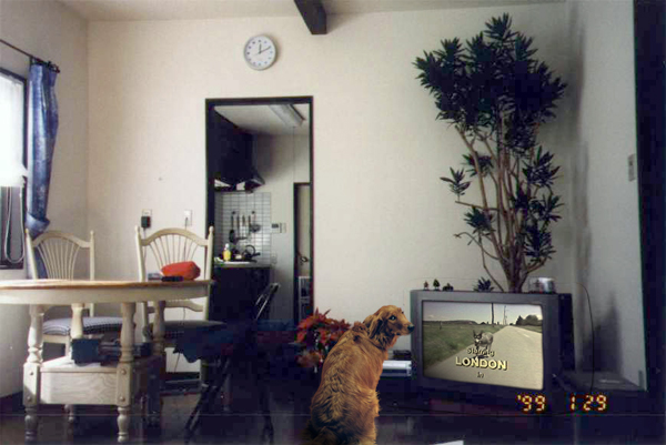 Photoshop-Design von Adobeguest für DesignCrowd (Community Contests) | Design #9155685