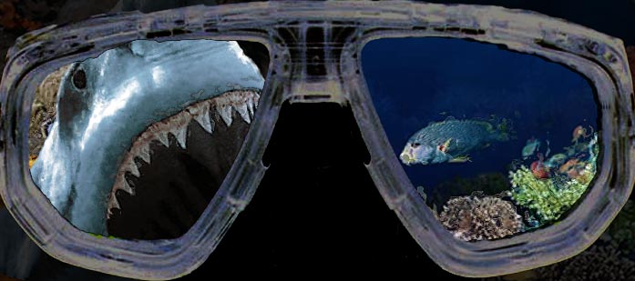 Photoshop Design by Gonzo for DesignCrowd (Community Contests) | Design #9152190