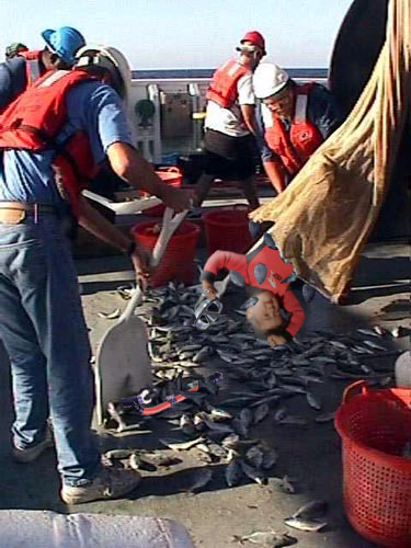 Design Photoshop par jimmycurn pour DesignCrowd (Community Contests) | Design #9152162