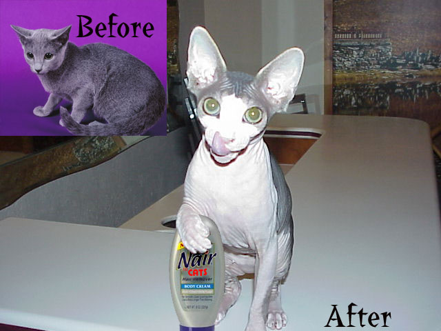 Photoshop-Design von quack_head für DesignCrowd (Community Contests) | Design #9155188