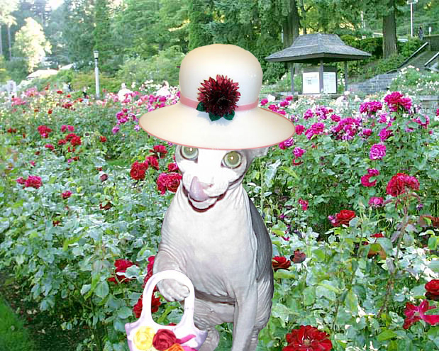 Photoshop Design by arcaydia for DesignCrowd (Community Contests) | Design #9155190