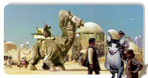 Design Photoshop par Keb pour DesignCrowd (Community Contests) | Design #9155205