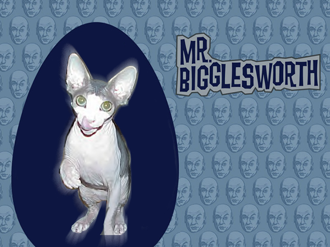 Photoshop Design by meggyloo for DesignCrowd (Community Contests) | Design #9155202