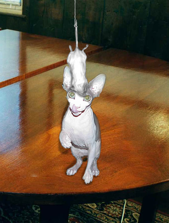 Photoshop-Design von paplaukes für DesignCrowd (Community Contests) | Design #9155218