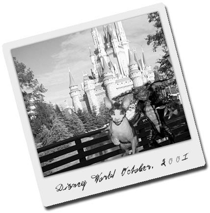 Photoshop Design by muckpond for DesignCrowd (Community Contests) | Design #9155215