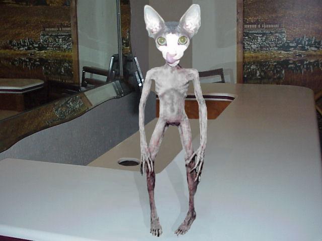 Design Photoshop par Roberto pour DesignCrowd (Community Contests) | Design #9155220