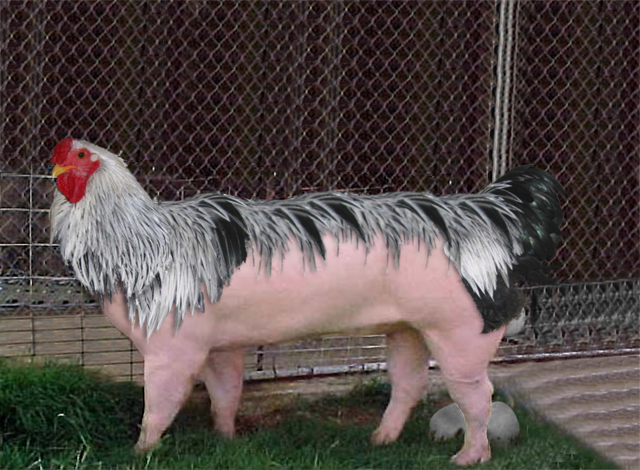 Photoshop-Design von Philbert für DesignCrowd (Community Contests) | Design #9155007