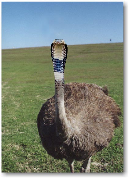 Photoshop-Design von Erik666 für DesignCrowd (Community Contests) | Design #9155005