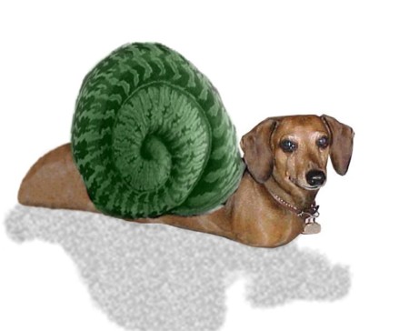 Photoshop Design by Nicoley for DesignCrowd (Community Contests) | Design #9155044