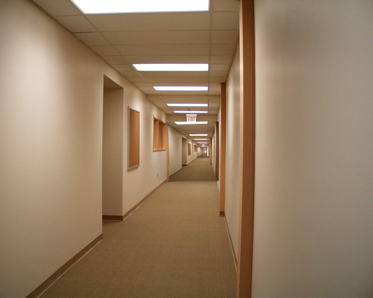 Photoshop-Design von quack_head für DesignCrowd (Community Contests) | Design #9151745