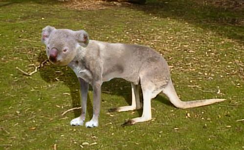 Design Photoshop par Roberto pour DesignCrowd (Community Contests) | Design #9155050