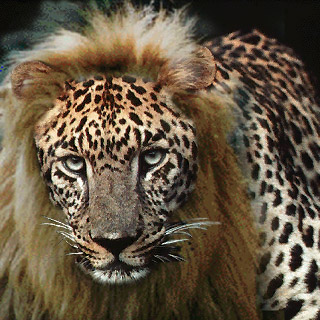 Photoshop Design by dnowhat for DesignCrowd (Community Contests) | Design #9155065