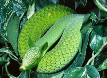 Photoshop-Design von MuchWyza für DesignCrowd (Community Contests) | Design #9155080